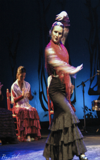 flamenco en Sevilla