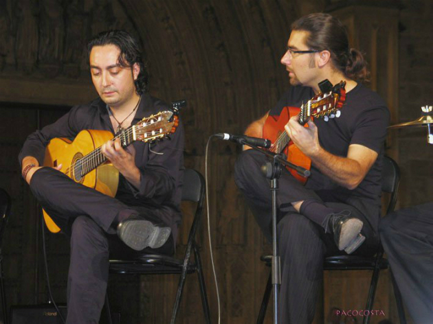  show flamenco Andalucía