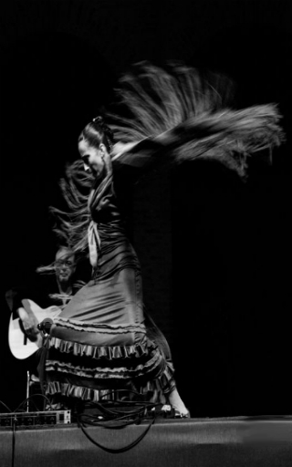 espectaculo flamenco en Andalucía