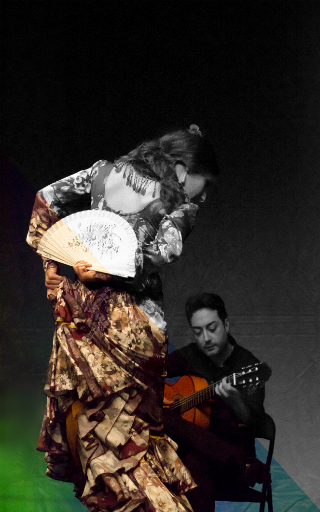 grupo flamenco Marbella