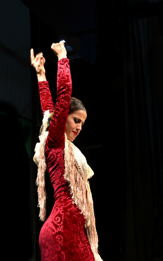 flamenco Marbella