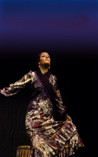 tablao flamenco Marbella