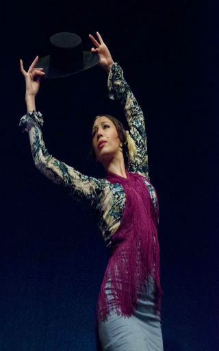 spectacle flamenco Andalucía